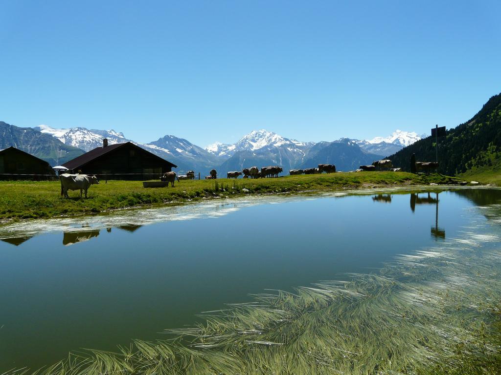 Chalet Enzian รีเดอร์อัลพ์ ภายนอก รูปภาพ