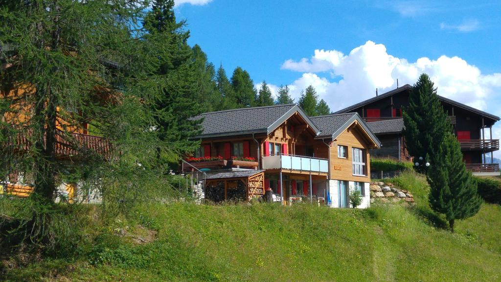 Chalet Enzian รีเดอร์อัลพ์ ภายนอก รูปภาพ
